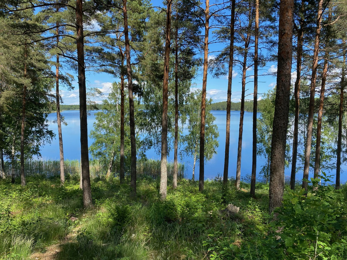 Zweeds meer