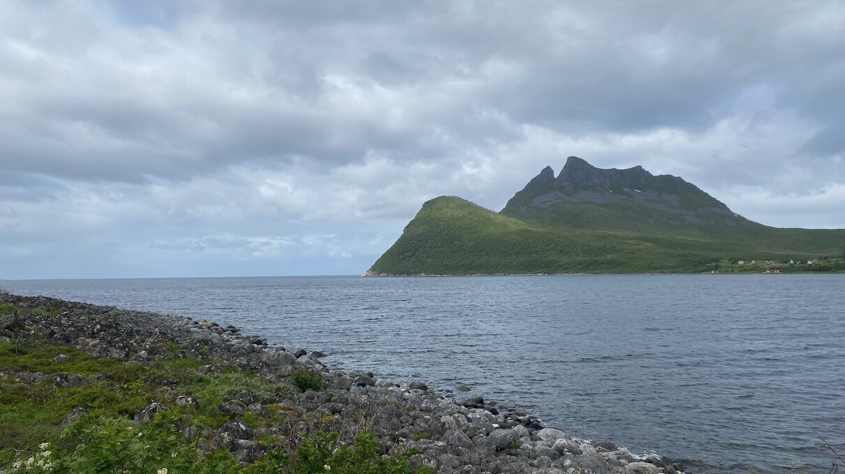 Senja