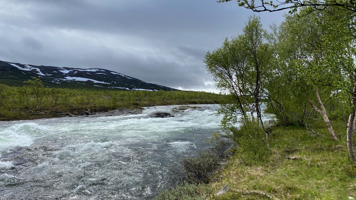 Rivier