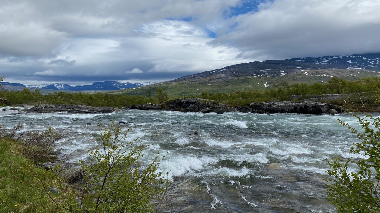 Rivier