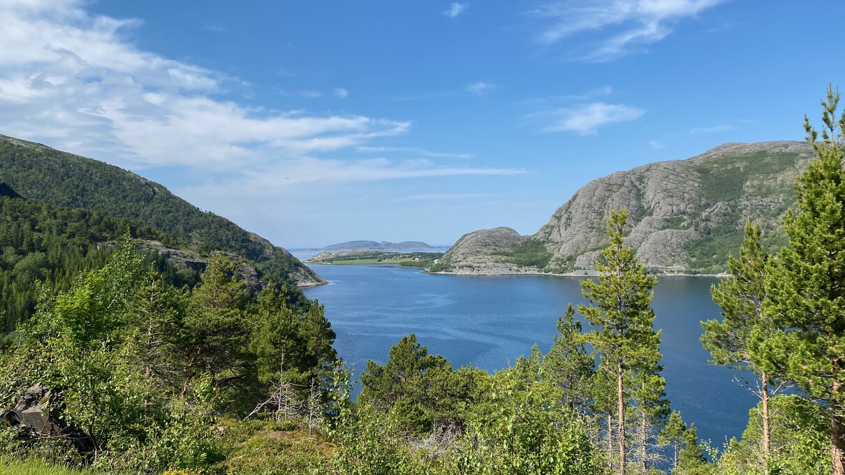 Steinsdalen